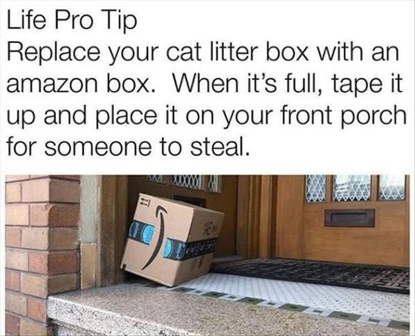 cat litter memes - Life Pro Tip Replace your cat litter box with an amazon box. When it's full, tape it up and place it on your front porch for someone to steal.