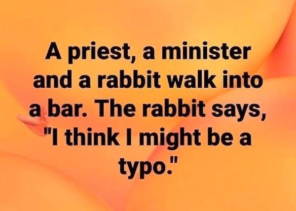 priest a minister and a rabbit - A priest, a minister and a rabbit walk into a bar. The rabbit says, "I think I might be a typo."