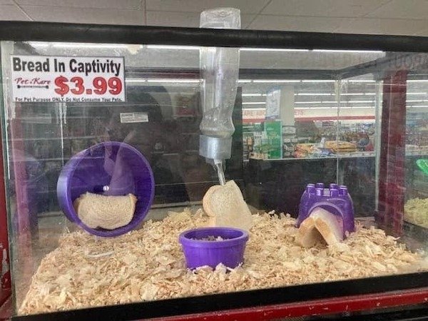 pet stoee meme - Bread In Captivity PetiKors $3.99 Toys