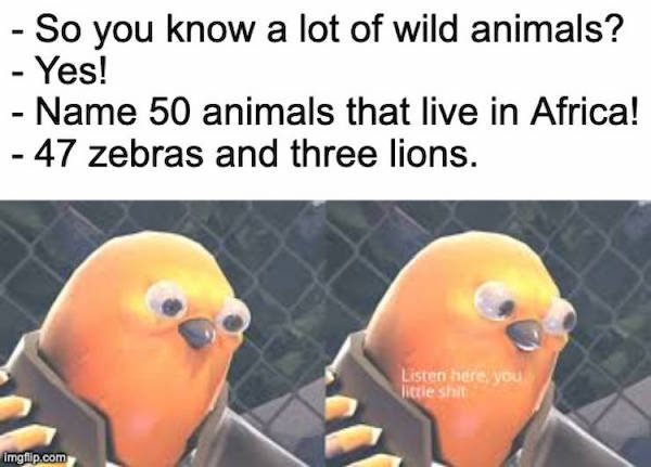 listen here you little meme template - So you know a lot of wild animals? Yes! Name 50 animals that live in Africa! 47 zebras and three lions. Listen here, you little shit Imgflip.com