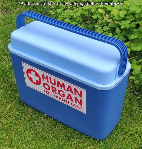 plastic - "Added a sticker to my boring cooler lunchbox" Human Organ For Transplant