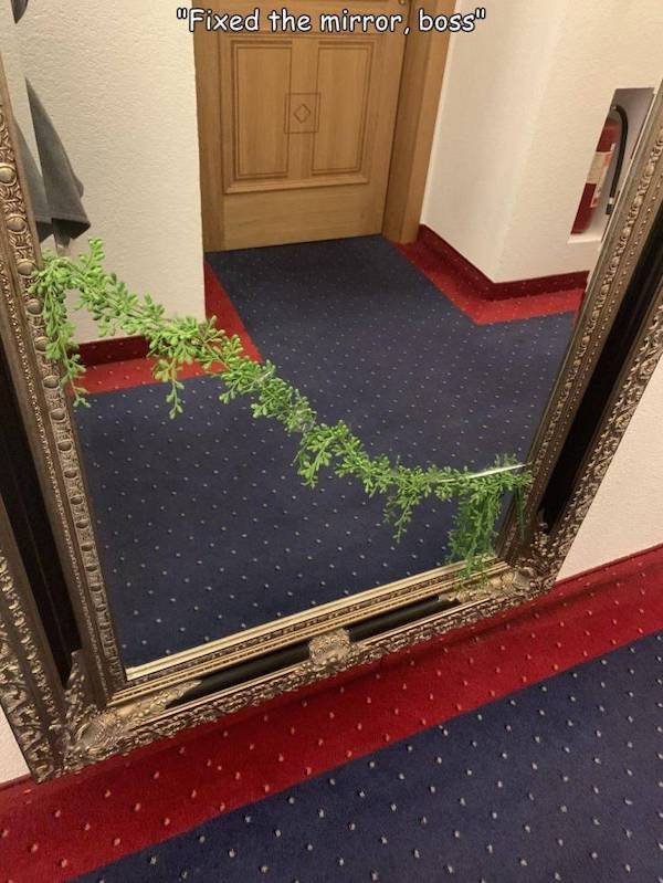floor - Fixed the mirror, boss Sia