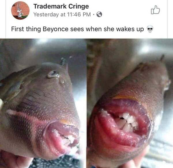 smartass comments - first thing beyonce sees in the morning - Trademark Cringe Yesterday at First thing Beyonce sees when she wakes up
