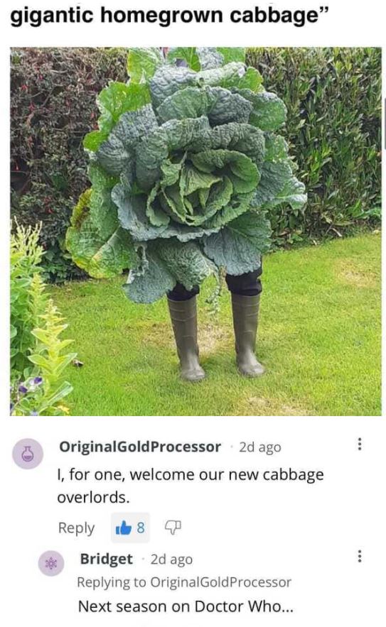smartass comments - a gigantic homegrown cabbage 3 OriginalGold Processor 2d ago I, for one, welcome our new cabbage overlords. 18 Bridget 2d ago OriginalGold Processor Next season on Doctor Who...