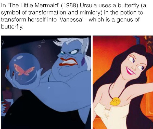 movie facts - little mermaid 1989 movie - In 'The Little Mermaid' 1989 Ursula uses a butterfly a symbol of transformation and mimicry in the potion to transform herself into 'Vanessa' which is a genus of butterfly