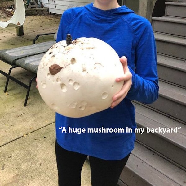huge things - personal protective equipment - "A huge mushroom in my backyard"