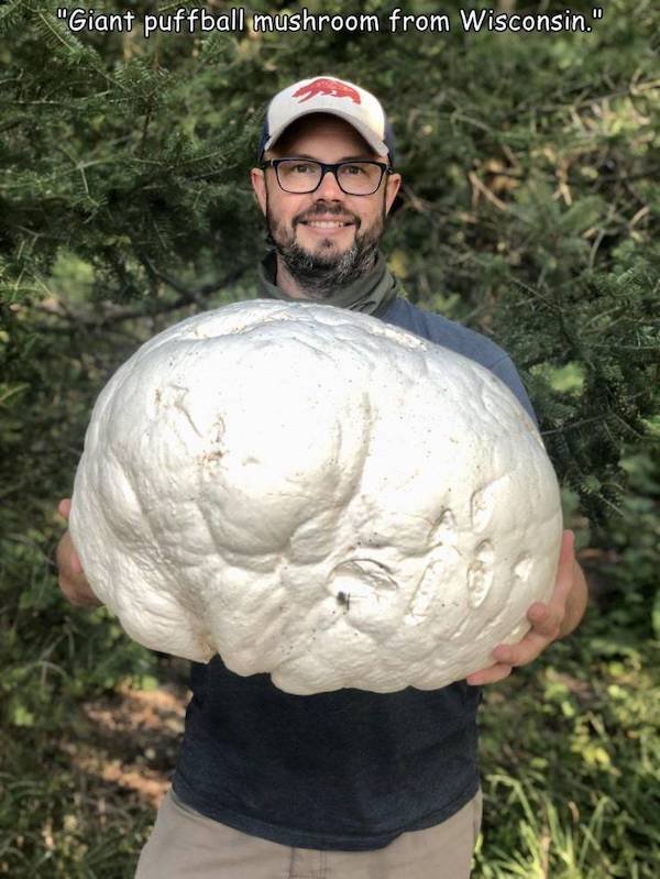 huge things - grass - "Giant puffball mushroom from Wisconsin."