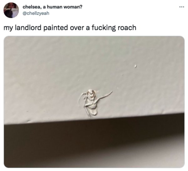 funny tweets - Landlord - chelsea, a human woman? my landlord painted over a fucking roach