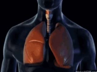 At any given moment, one of your lungs could randomly decide to burst in what is called a spontaneous pneumothorax.