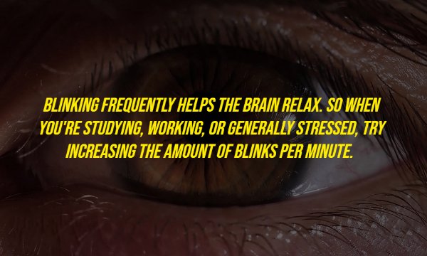 emo - Blinking Frequently Helps The Brain Relax, So When You'Re Studying, Working, Or Generally Stressed, Try Increasing The Amount Of Blinks Per Minute.