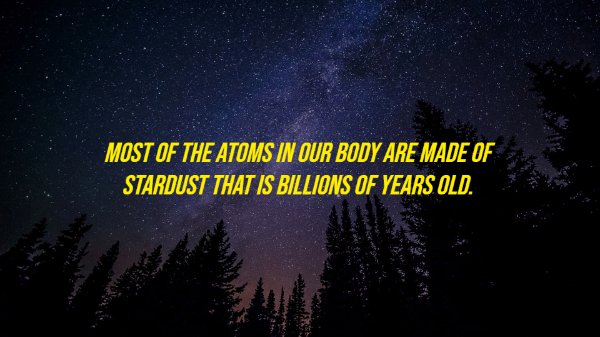 Most Of The Atoms In Our Body Are Made Of Stardust That Is Billions Of Years Old.