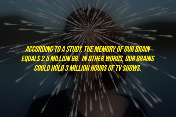 sky - According To A Study, The Memory Of Our Brain Equals 2.5 Million Gb. In Other Words, Our Brains Could Hold 3 Million Hours Of Tv Shows.