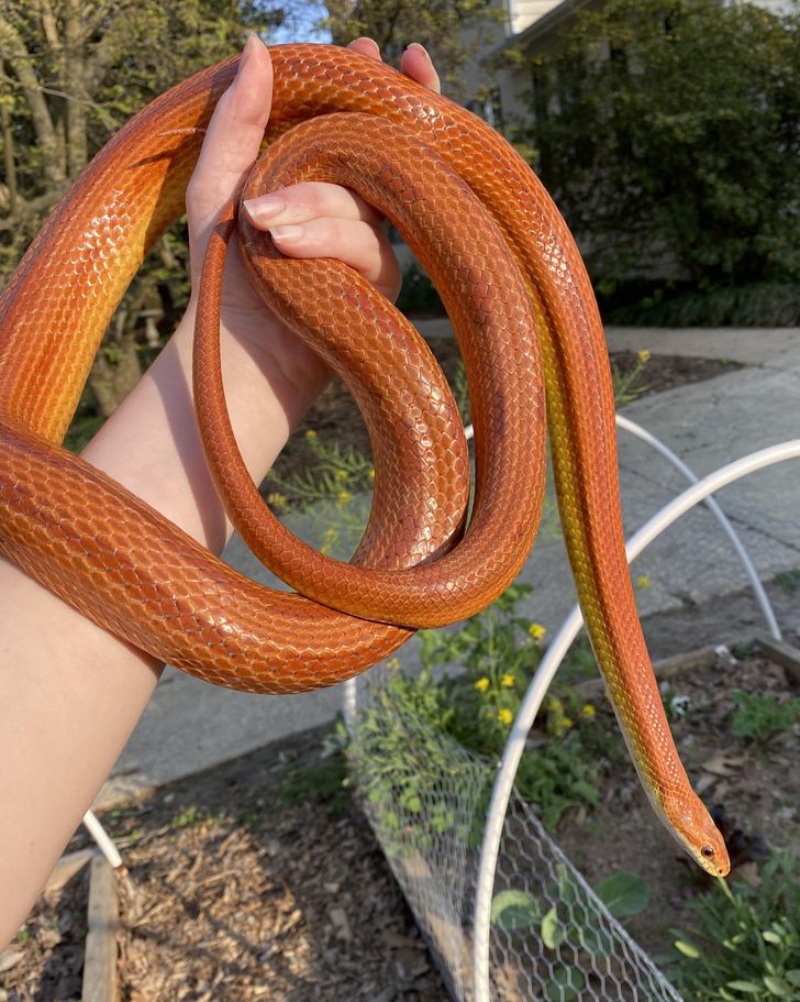 “Guys, there’s something weird going on with this extension cord I found.”