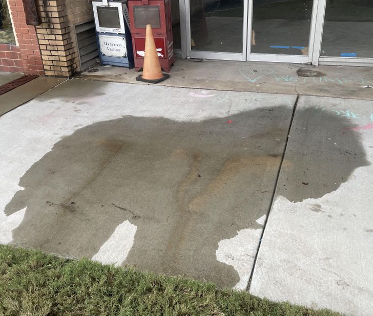 “The pattern that formed after water fell off this building front looks like a lion.”