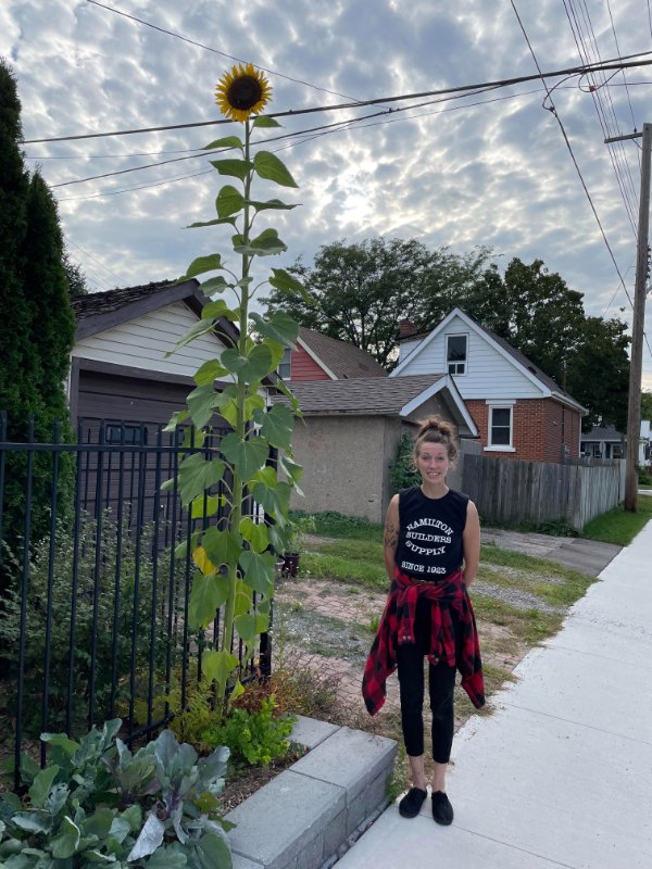 “Found a very tall sunflower, I’m 5’10 for comparison.”