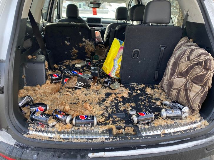 ’’I forgot the Pepsi was in the back of my car, and it was −16 Fahrenheit night before last.’’