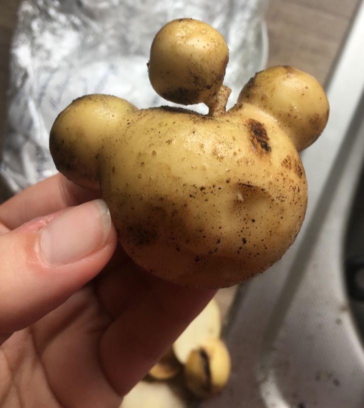 ’’My boyfriend’s homegrown potato looks like the Reddit icon!’’