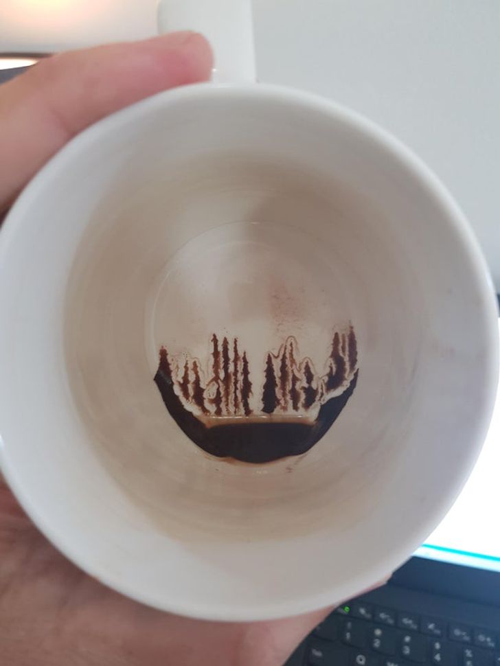 ’’The grinds at the bottom of my coffee look like an alpine forest scene.’’