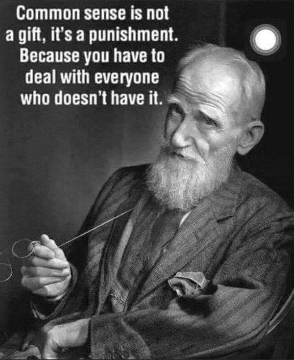 george bernard shaw - Common sense is not a gift, it's a punishment. Because you have to deal with everyone who doesn't have it.