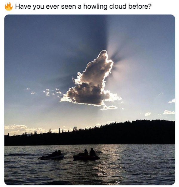 wolf cloud - Have you ever seen a howling cloud before?