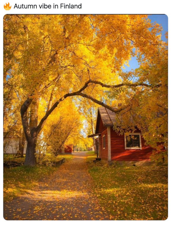 finland autumn - Autumn vibe in Finland