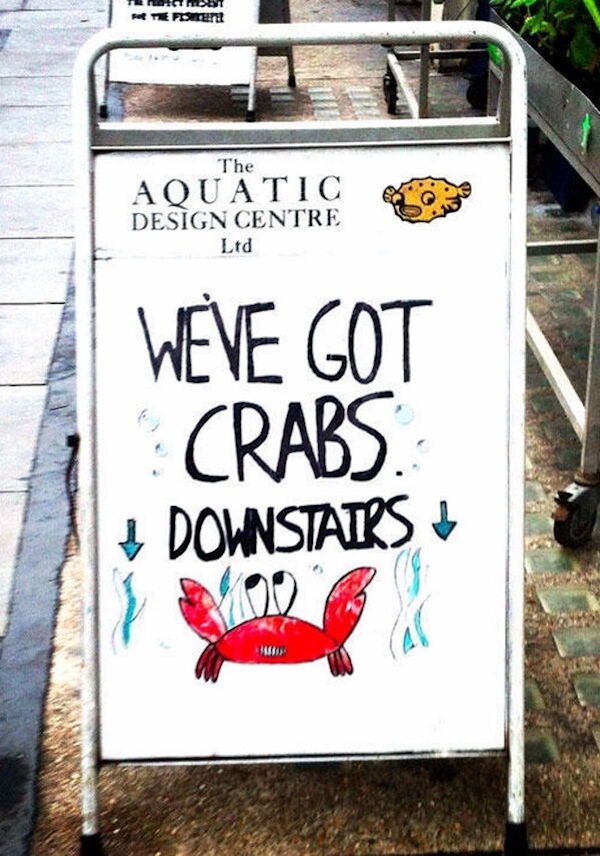 dirty memes - best sandwich board signs - Nost Posten The Aquatic Design Centre Ltd Weve Got Crabs. Downstairs