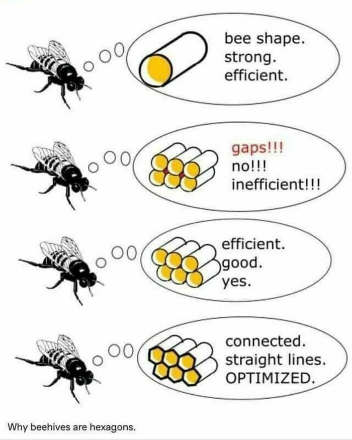 science memes - optimized bee meme - bee shape. strong. efficient. od gaps!!! no!!! inefficient!!! 00 efficient. good. yes. 00 connected. straight lines. Optimized. Why beehives are hexagons.