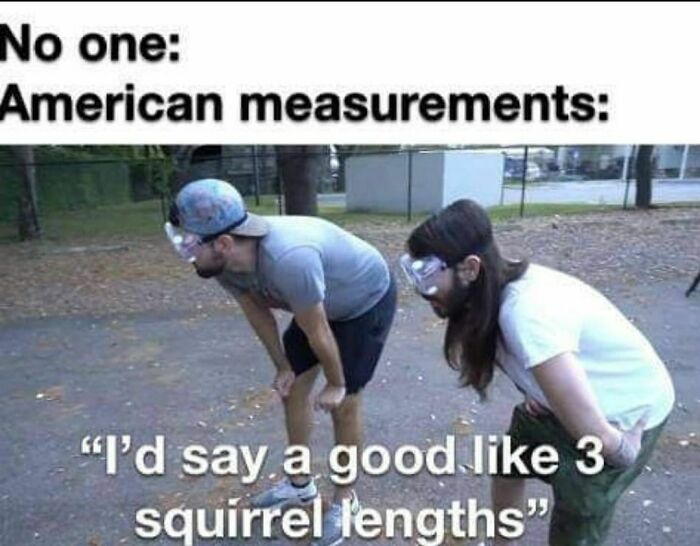 science memes - sap bo - No one American measurements "I'd say a good 3 squirrel lengths"
