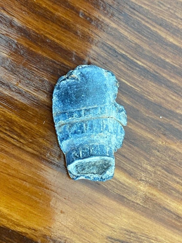 Metal item found in an area of the Southeastern US with a lot of civil war history. I’m not sure what it is and would like some further insight

A: Looks like a flattened Minié ball to me.