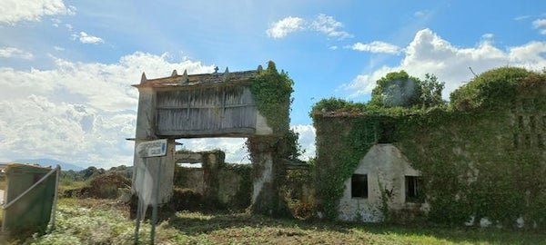 Building type with slits raised above the ground

A: Grain store. It’s known as a Hórreo and is raised to keep rodents from eating the grain.