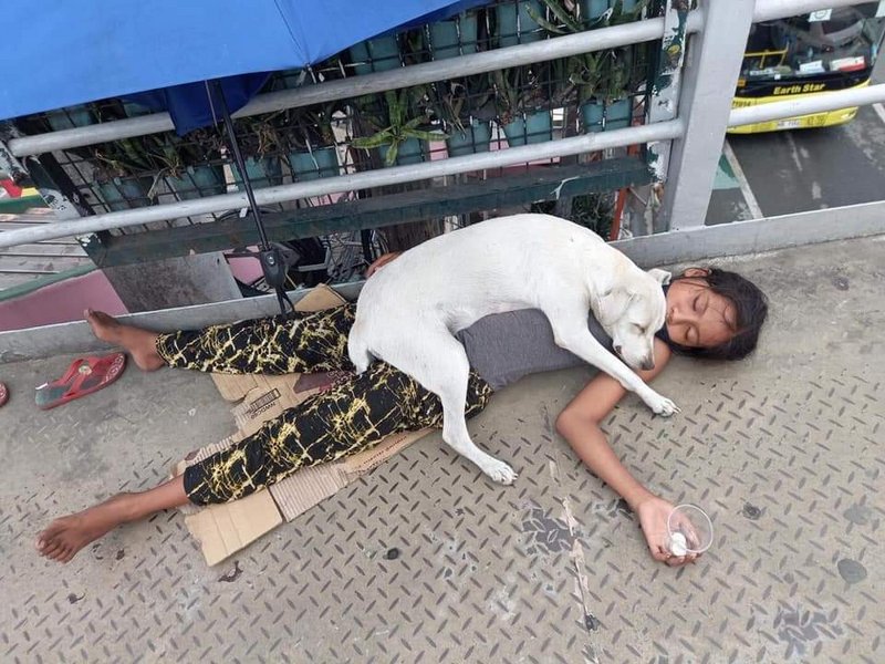 Homeless child sleeping with her dog in Pasay City, Philippines