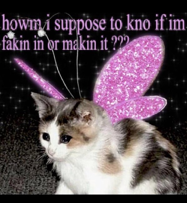 fairy cat - howm i suppose to kno if im fakin in or makin it 292
