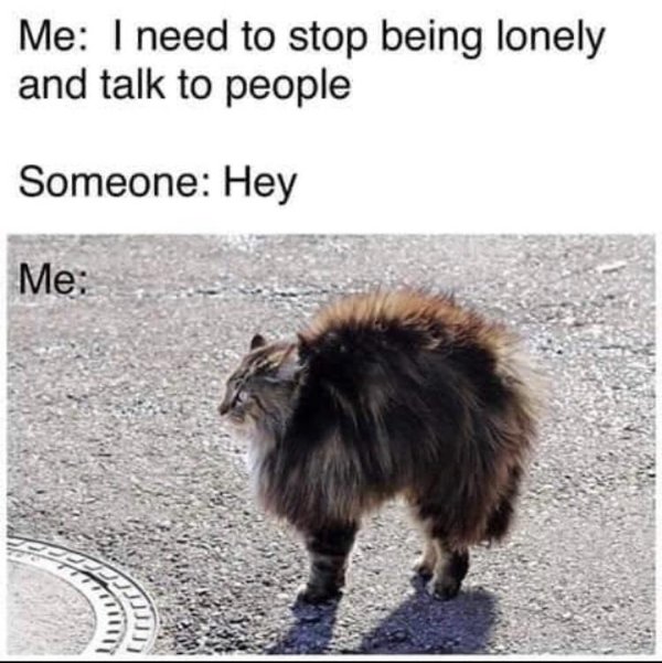 meme of being lonely - Me I need to stop being lonely and talk to people Someone Hey Me ar