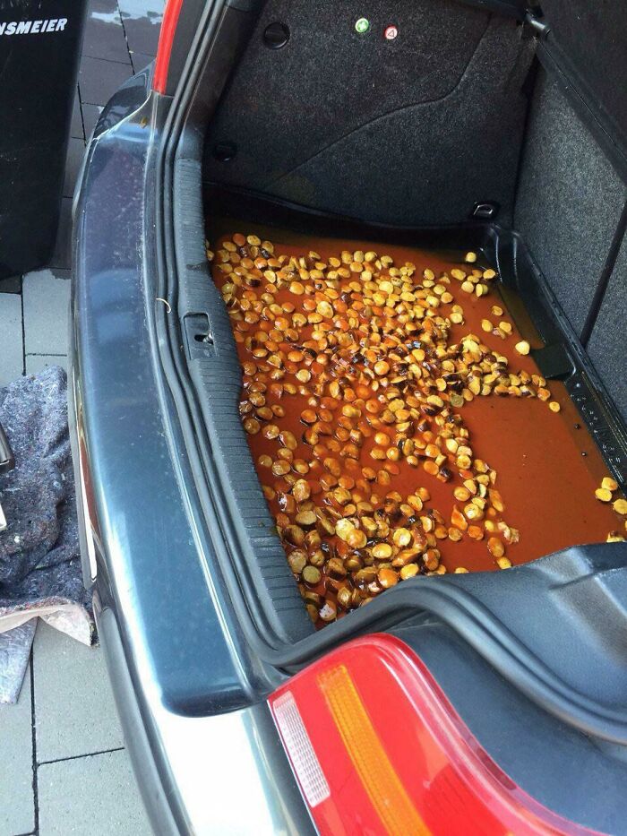 Having Currywurst In Your Trunk