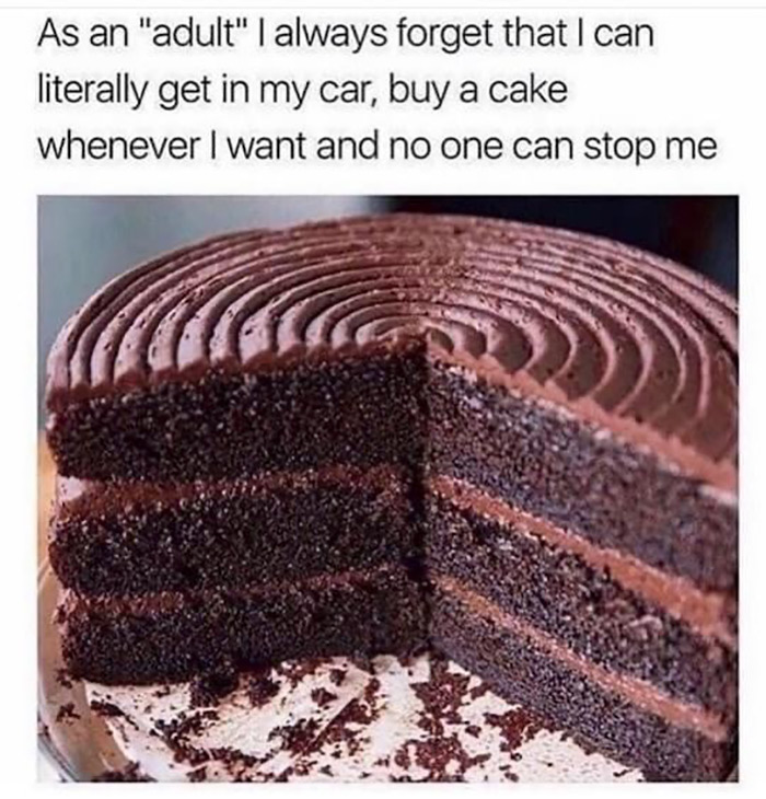 technically true, funny memes - buy a cake meme - As an "adult" I always forget that I can literally get in my car, buy a cake whenever I want and no one can stop me