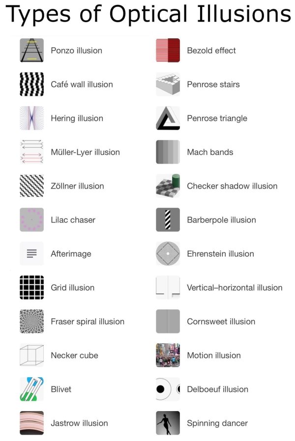 useful charts and infographics - diagram - Types of Optical Illusions Ponzo illusion Bezold effect Caf wall illusion Penrose stairs Hering illusion Penrose triangle MllerLyer illusion Mach bands Zllner illusion Checker shadow illusion Lilac chaser 2 Barbe