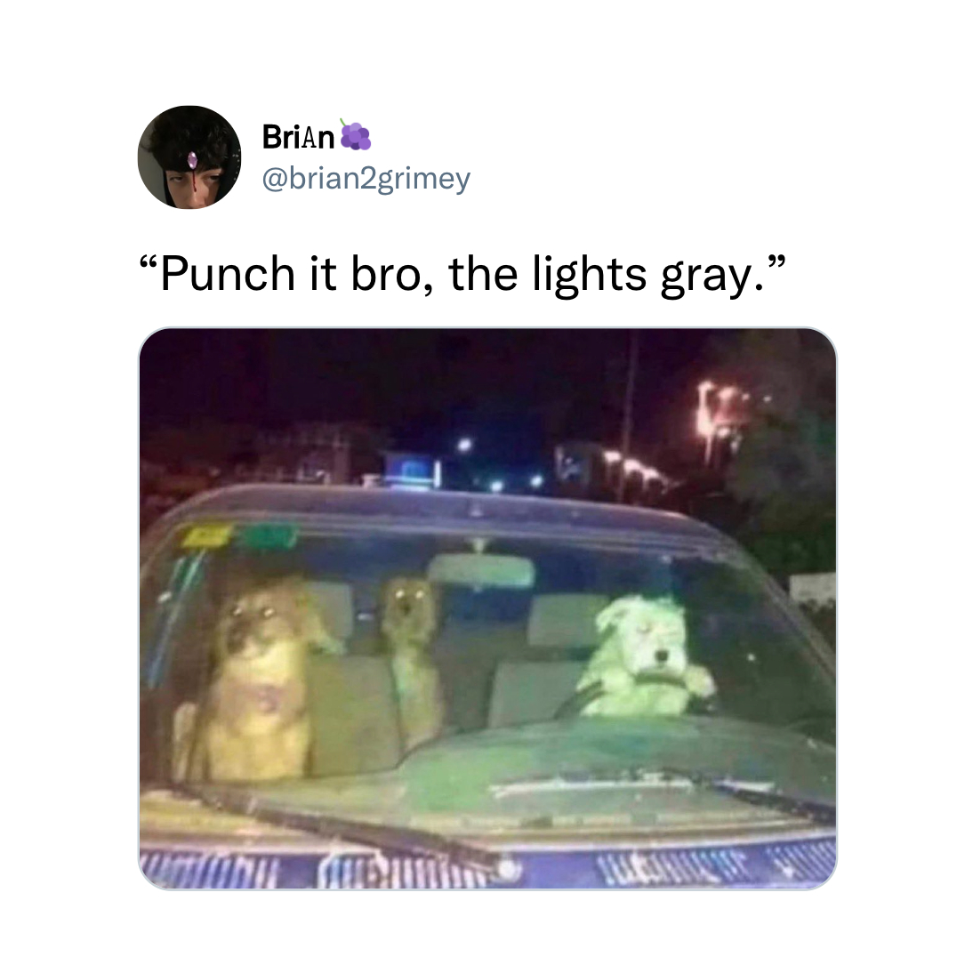 funny memes and tweets - punch it bro the lights gray - Brian "Punch it bro, the lights gray." Um Math