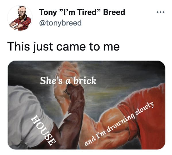 funny memes and tweets - raping my sister - Tony "I'm Tired Breed This just came to me She's a brick House and I'm drowning slowly
