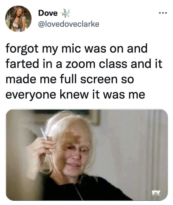 funny memes and tweets - forgot my mic was on and farted in a zoom class and it made me full screen so everyone knew it was me Ex