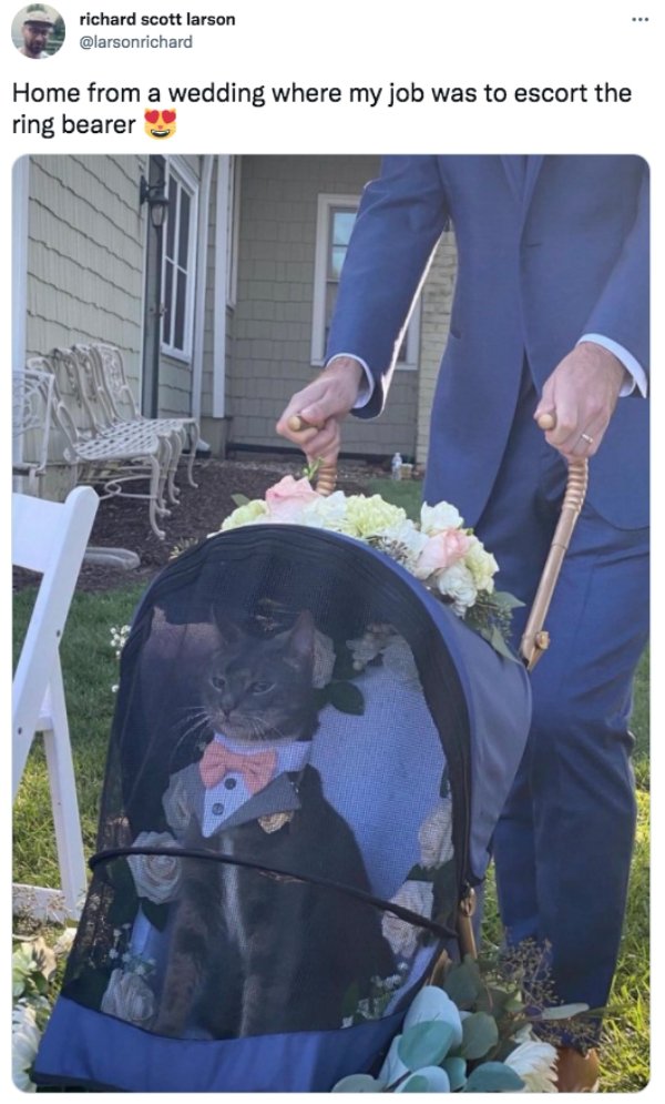 funny memes and tweets - richard scott larson Home from a wedding where my job was to escort the ring bearer