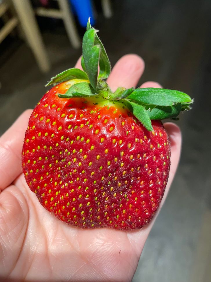 pics that play tricks on your eyes - strawberry