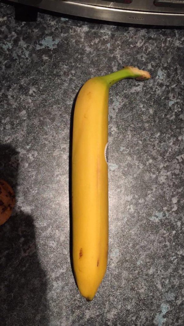 “This very straight banana I ate.”