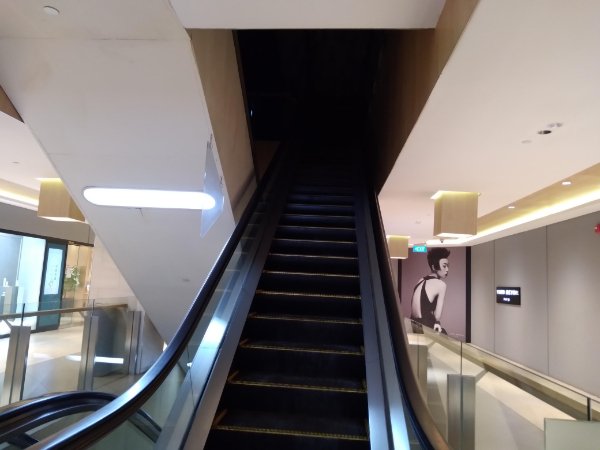 “This escalator leading to a black void.”