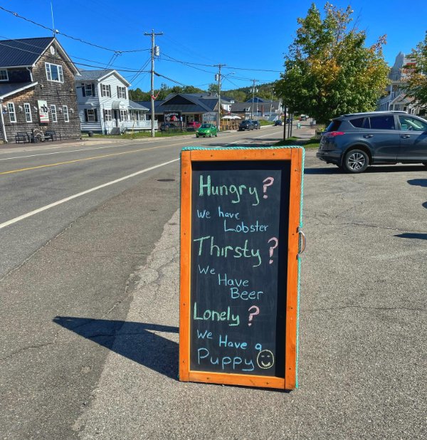 “The sign says they have lobster, beer and a puppy.”