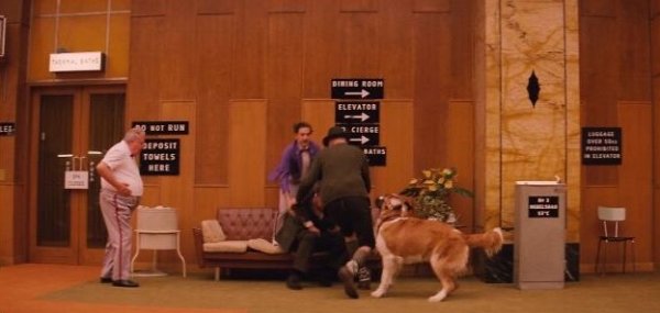 movie facts easter eggs - grand budapest hotel dog - Bibing Room Elevator Lee Abot Run 1 Cierge Gates Ade Deposit Tovels Hebe Fe