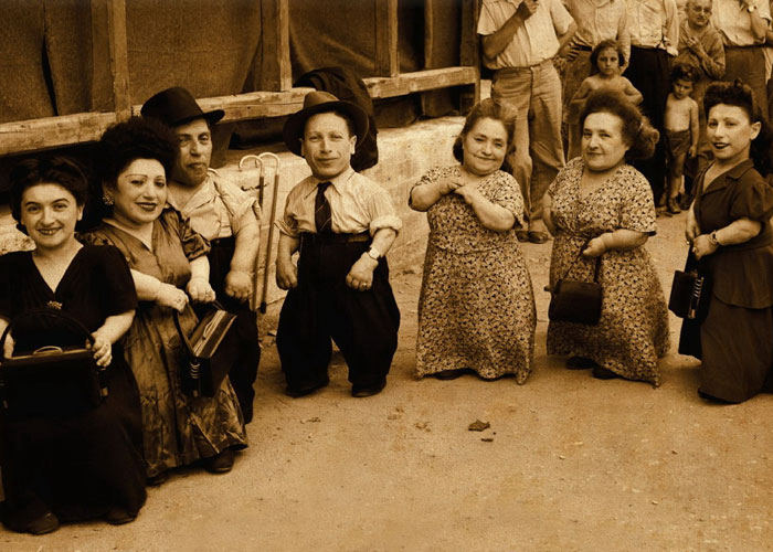 of the Ovitz family, not only the largest family of dwarfs ever recorded but also the largest family (12 people ranging from a 15-month-old baby to a 58-year-old woman) to enter Auschwitz and survive intact.