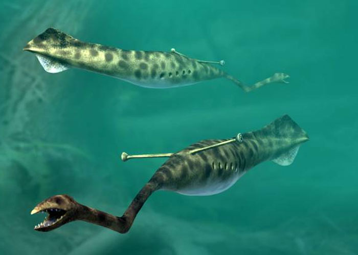 of Tullimonstrum Gregarium, aka the Tully Monster. An animal so strange, that despite having thousands of fossils, we don’t know whether it was a vertebrate or an invertebrate. To add to the strangeness, fossils of this creature have only been found in one fossil site in the world.