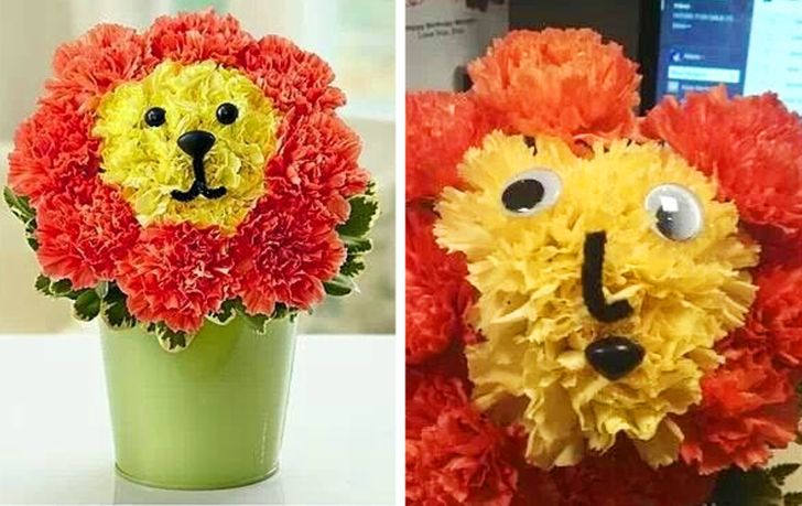 lion flowers