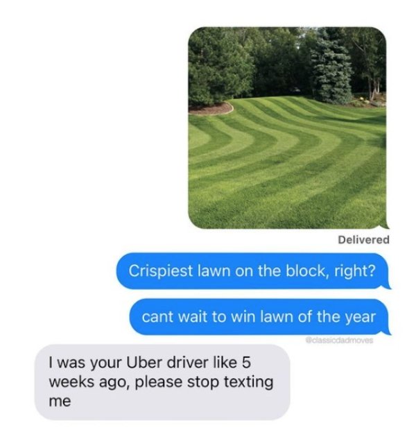 grass - Delivered Crispiest lawn on the block, right? cant wait to win lawn of the year classi dadmoves I was your Uber driver 5 weeks ago, please stop texting me