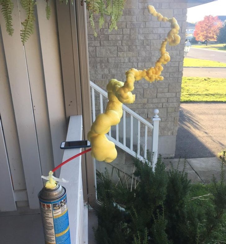 “This can of spray foam I left on my porch decided to grow toward the sun.”